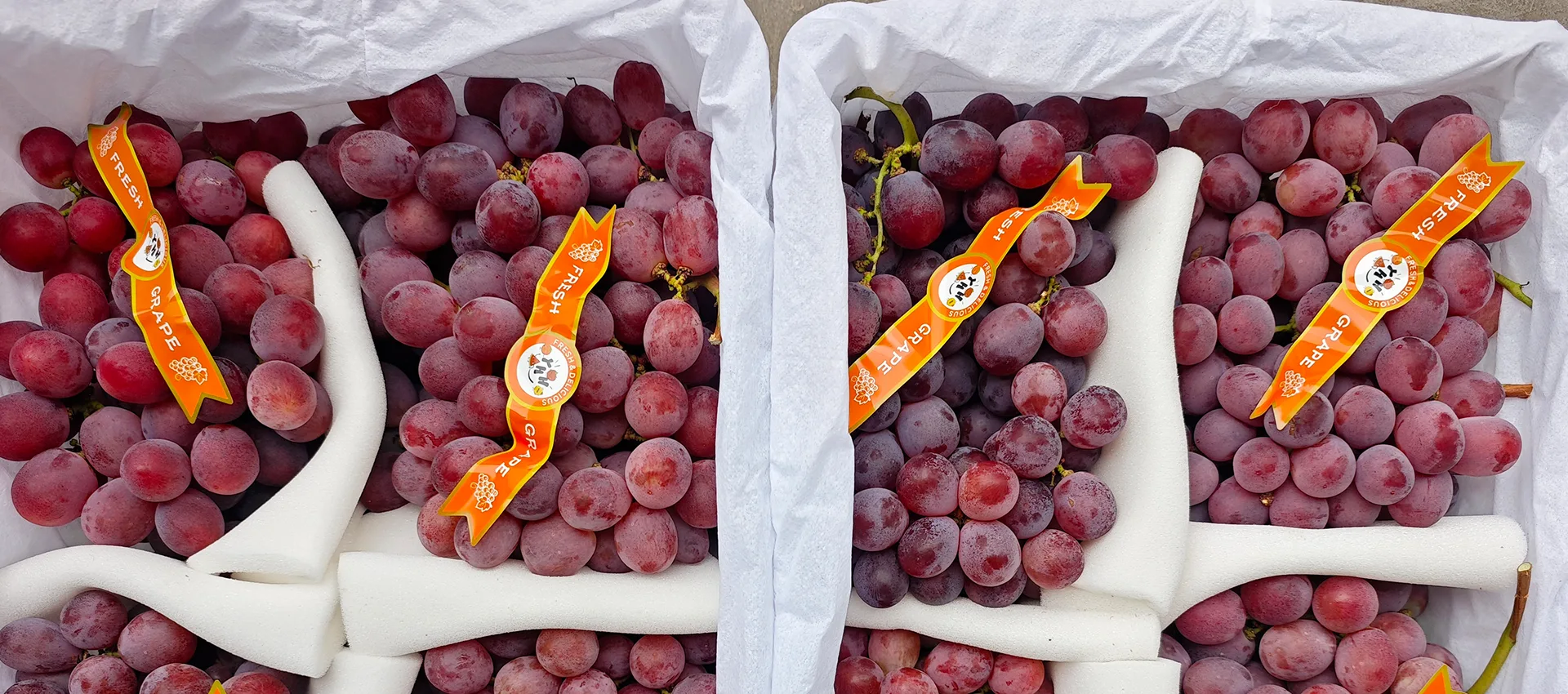 China Premium Fresh Grapes တင်သွင်းသူ