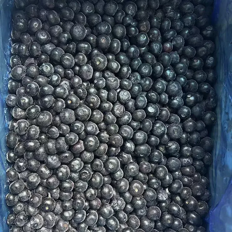 Frozen Blueberry ပရီမီယံ IQF ဘလူးဘယ်ရီ