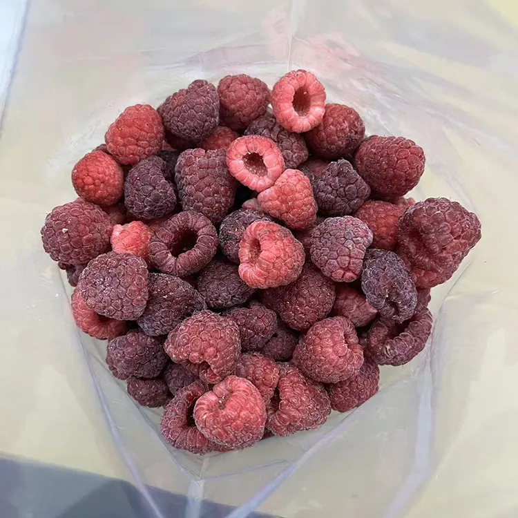 ပရီမီယံ IQF Whole Frozen Red Raspberry